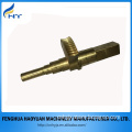 a quarter brass worm gear shaft for custom service